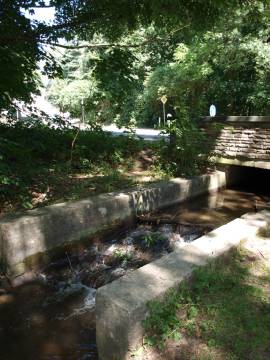 10-07-18_Der_Mutzbach_im_Bereich _D�nnwalder_Mauspfad_Leuchterbruch