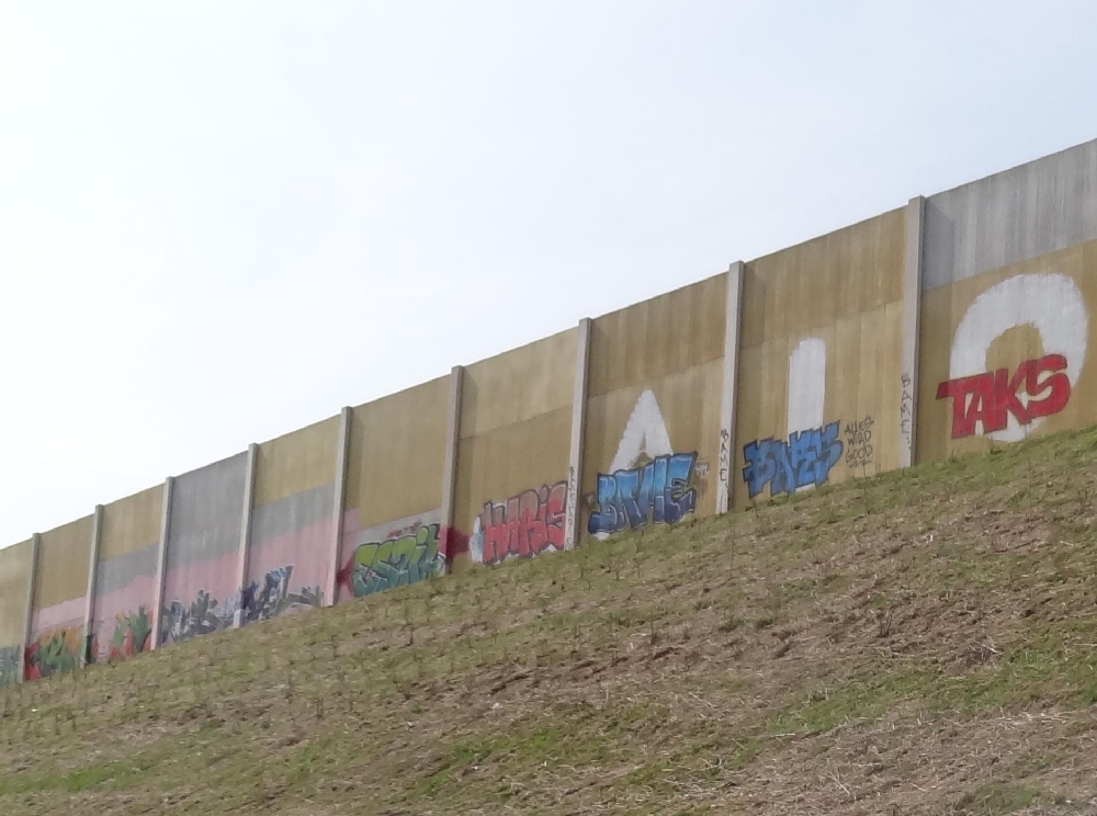 Heinz Klein Pflanzen